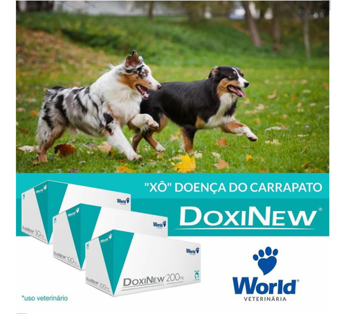 Remédio Doença Carrapato De Cão Doxinew 100mg 7cp