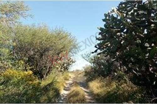 Imagen 25 de 30 de Terreno Con Vistas A La Presa En Venta, San Miguel De Allend
