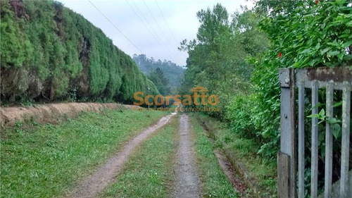 Imagem 11 de 13 de Chácara À Venda, Potuverá, Itapecerica Da Serra/sp - 3374