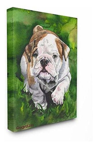 Stupell Industries Bulldog Inglés Cachorro Perro Mascota Ani