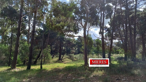 Imagen 12 de 17 de Lote En Venta En La Barra (ref: Atm-6651)