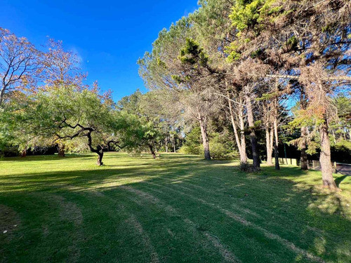 Venta Terreno Punta Ballena Vilaverde