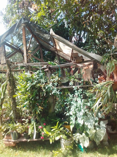 Imagem 8 de 30 de Chácara 1 Alqueire, Acesso Asfaltado, 2 Casas, Sendo Uma Com 3 Dormitórios, Área Gourmet Com Churrasqueira, Pomar, Horta, Galinheiro - Ch00200 - 70578730