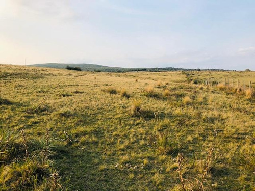 Chacra - José Ignacio