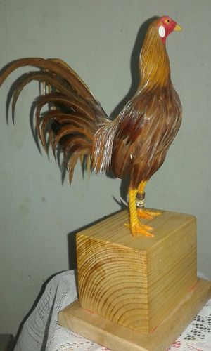 Vendo Trofeos De Gallos