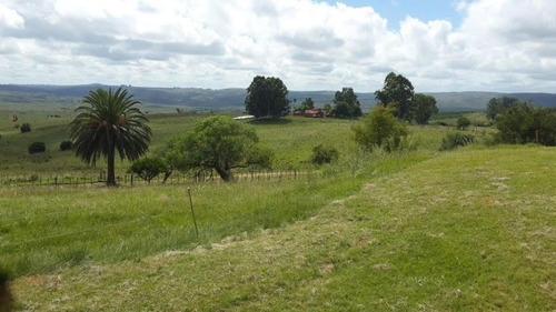 Estancia Completa, Ganadera-forestal, Muy Buena Ubicación Y Accesos. Excelentes Instalaciones.