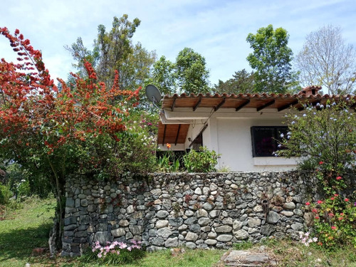 Imagen 11 de 12 de Casa En Venta