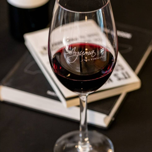 Vino tinto Malbec Aguma Joven 2022 750 cc en estuche de cartón