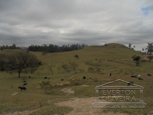 Imagem 5 de 15 de Area - Parque Imperial - Ref: 8800 - V-8800