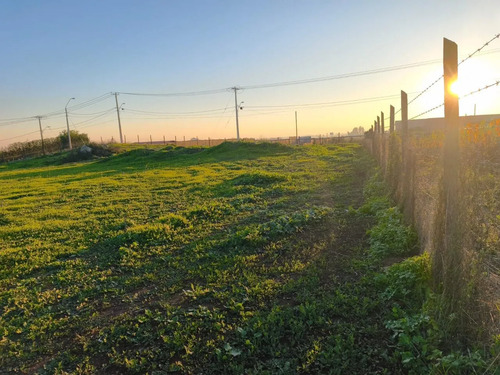 Parcela En Venta - Sector Quilvo Alto, Curicó / Romeral