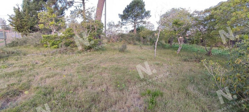 Imagen 5 de 10 de Oportunidad - Punta Del Este Marly