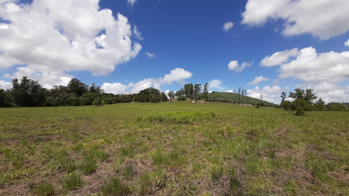 11 Hectáreas Cerca De Minas, Zona Del Campanero