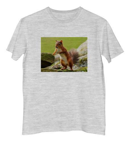 Remera Hombre Ardilla Jugando Roca Bosque Naturaleza