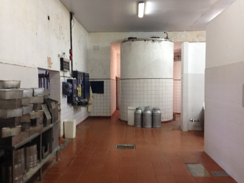 Fabrica De Quesos. Se Vende Y Se Alquila