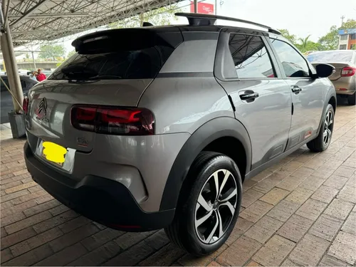 C4 Cactus Shine