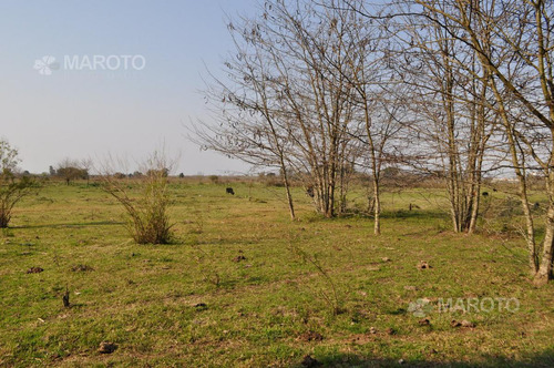 Imagen 15 de 28 de Casa En Venta En Ingeniero Maschwitz - Maroto Propiedades