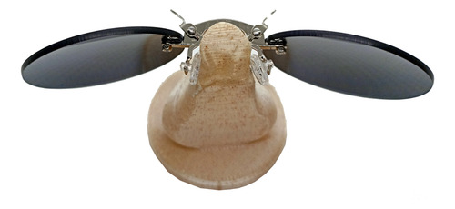 Lentes De Morfeo Con Funda De The Matrix Ciberpunk Plata