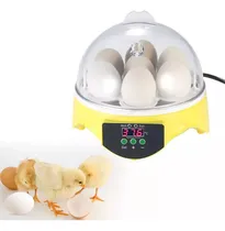 Comprar Chocadeira Brood Chocadeira Elétrica Chocadeira 7 Ovos 220v.
