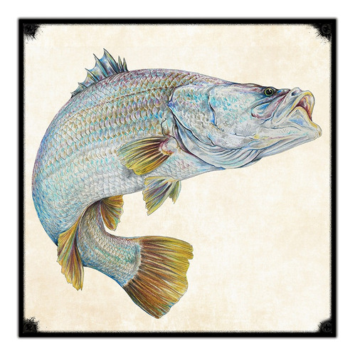 #317 - Cuadro Vintage 30 X 30 - Pez Pescado Pesca No Chapa