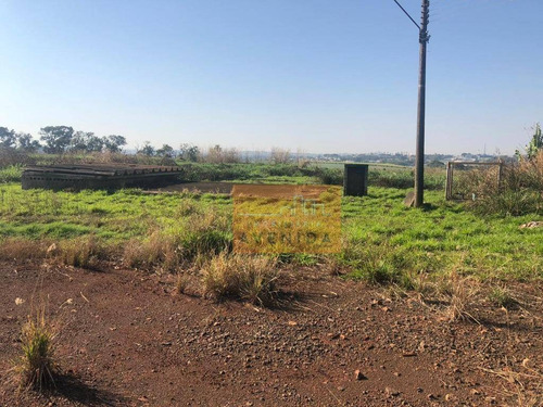 Imagem 4 de 24 de Área Para Alugar, 58600 M² Por R$ 170.000,00/mês - Betel - Paulínia/sp - Ar0036