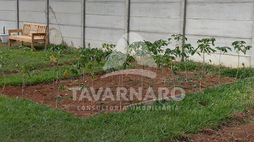 Imagem 5 de 7 de Chácaras - Ref: V5941