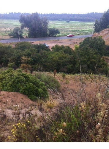 Imagen 6 de 13 de Sitio Norte Entrada Condominio Campomar Iv/lado Sur 250 Mts
