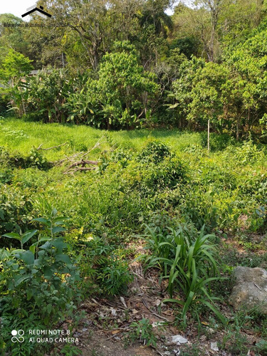 Imagem 3 de 8 de Terreno Residencial No Jardim Nova Cotia No Km39 Da Raposo Tavares - 306