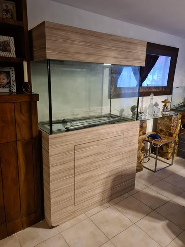 Pecera Con Mueble,  ~500 Litros, Equipada, Para Peces Disco