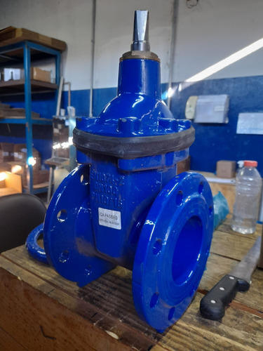 Válvula Registro Gaveta C/flanges Ferro 100mm Pam Saint-gobain R23fvgtw
