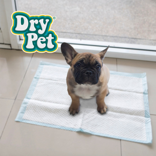 Tapete Entrenador Perro Tapete Paraperro (pads) 7 Pz Dry Pet