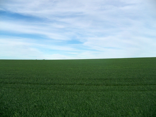 430 Has Agrícolas En Colonia, Próximas Al Puerto De Palmira
