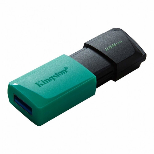 Memoria Usb Kingston Exodia M 256gb Turquesa