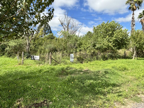 Terreno En Venta Andino
