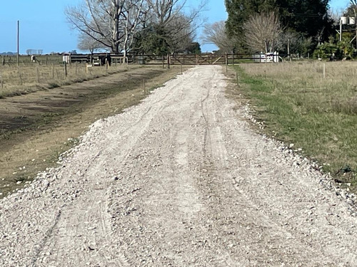 Lotes En Paraje Don Cipriano