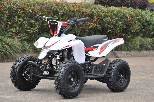 Imagen 3 de 10 de Mini Cuatriciclo 49cc Mini Max