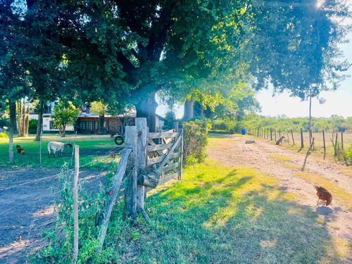 Venta Campo 7 Hectáreas El Cazador, Escobar