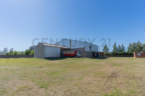 Imagen 15 de 30 de Venta - Galpon - Planta Industrial - Zarate
