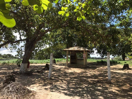 Imagem 8 de 30 de Lote À Venda, 282 M², Vila Do Porto, Condomínio Fechado - Lagoa Do Banana - Caucaia/ce - Te0429