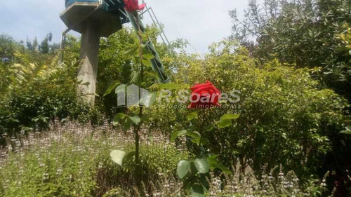 Imagem 8 de 15 de R Soares Vende!!! Excelente Casa Salas Dois Quartos Com Churrasqueira,, Lavanderia, Jardim Fruteiras.ótima Localização No Parque Imperial Nova Friburgo. - Jcca30028