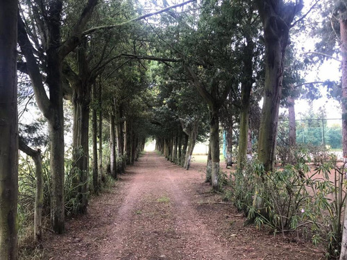 Imagen 7 de 11 de Oferta Única Finca Propongan