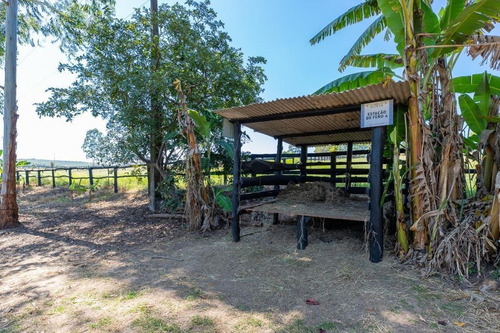 Imagem 16 de 30 de Fazenda À Venda No Bairro Sarapuí - Sarapuí/sp - O-8420-17443