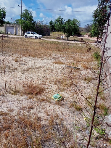 Terreno Em São José Da Coroa Grande-pe