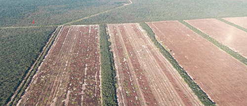 Campo En Santiago Del Estero