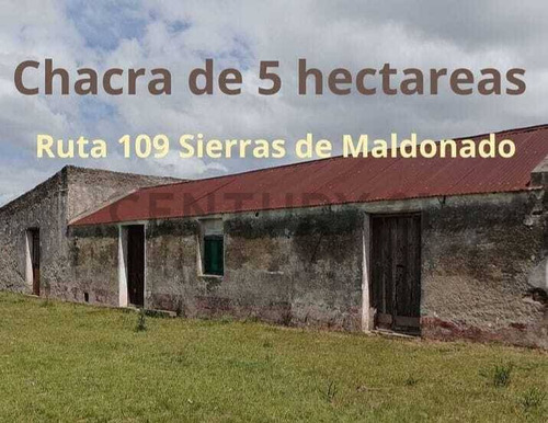 Chacra 5 Ha,casco De Epoca,impresionante  Año 1800, Maldonado, Los Cerrillos