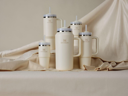 Vaso Tipo Térmico Aislado Al Vacío De Acero Inoxidable