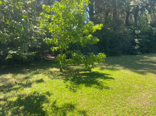 Imagen 3 de 6 de Terreno - Country El Resuello