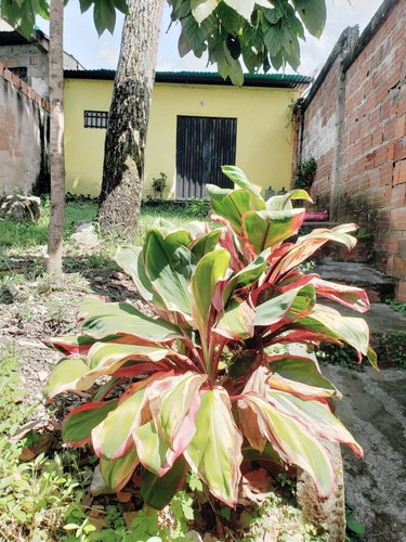 Imagen 8 de 9 de Casa Vía Rubio A 5 Minuto Del Mirador