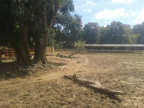 Imagen 16 de 22 de Finca Sector Caroní Estado Barinas En Venta