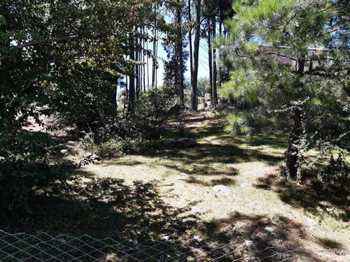 Imagen 4 de 14 de El Pinar De Yacanto (alquiler Cabañas De Montaña)