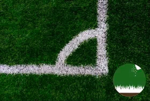 Imagen 1 de 10 de Semillas Césped Perenne - Verde Todo El Año - Envío Gratis